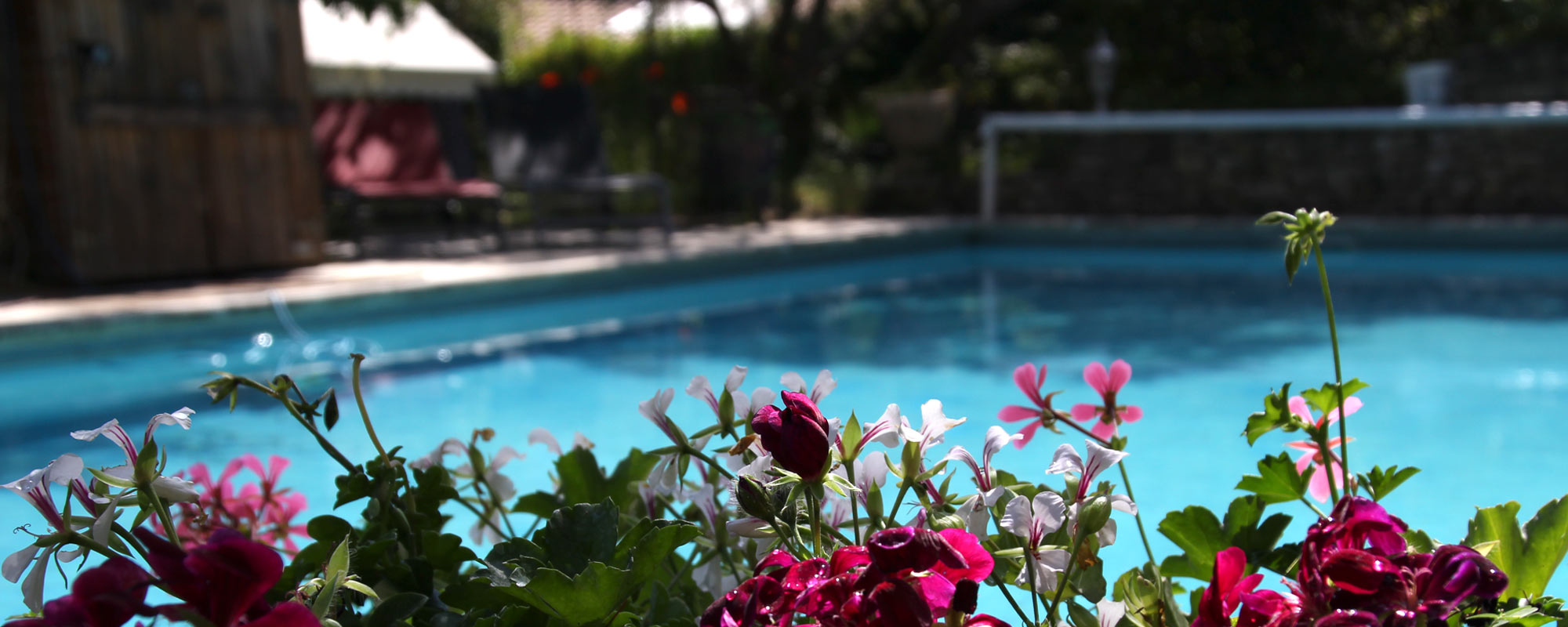 Chambres d'hôtes avec piscine